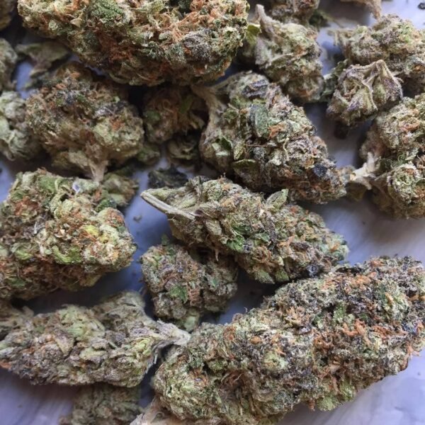 Gelato