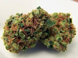 NYC Diesel