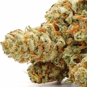 Ace Killer OG