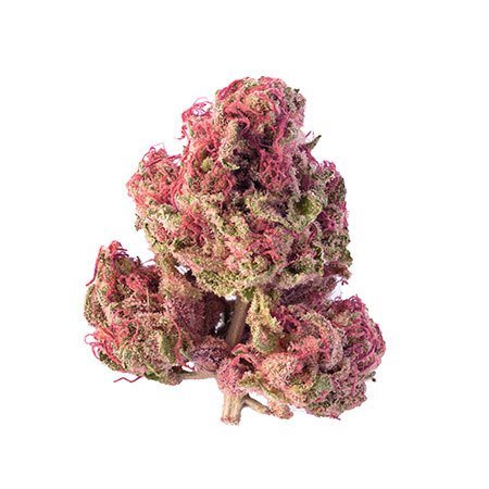 Cherry Pie