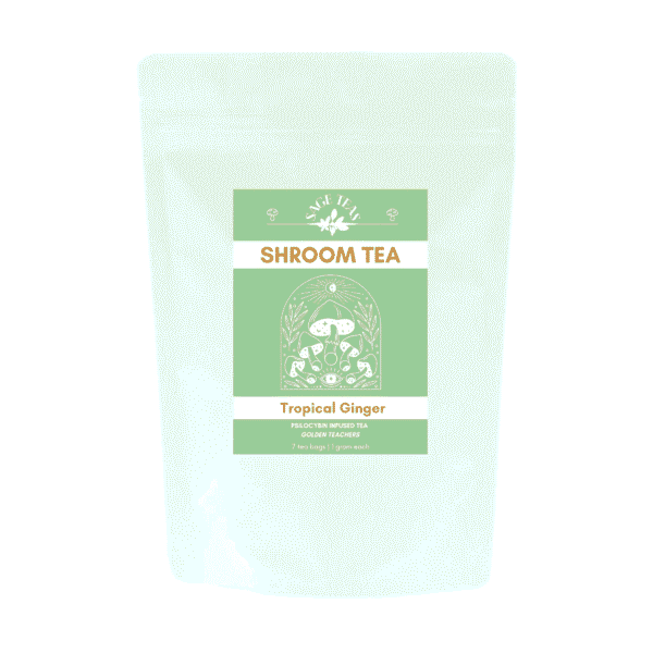 Tropical ginger golden teachers shroom tea