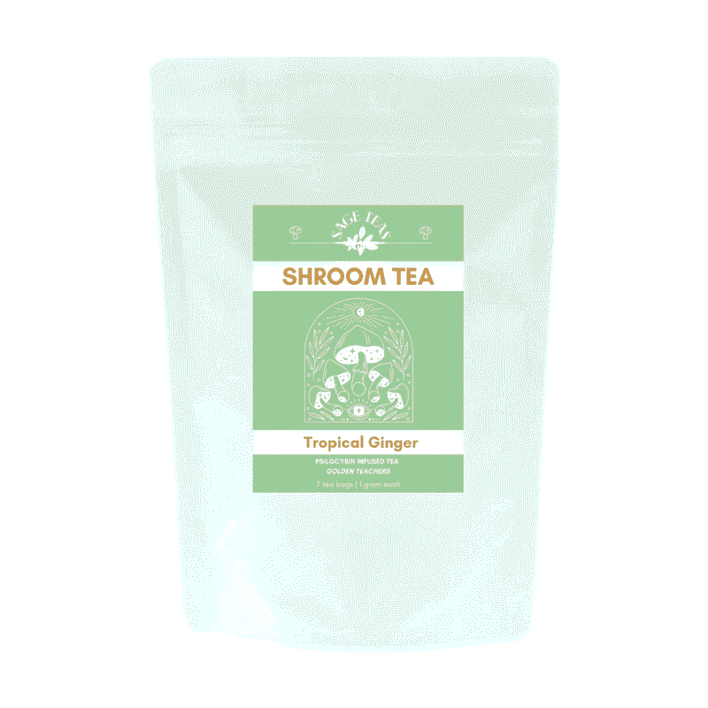 Tropical ginger golden teachers shroom tea
