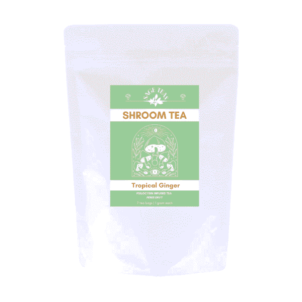 Tropical ginger penis envy shroom tea